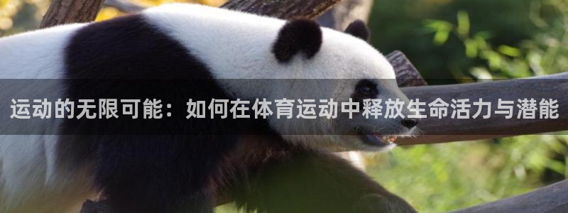 vsport体育官网下载平台注册流程视频:运动的无限可能:如