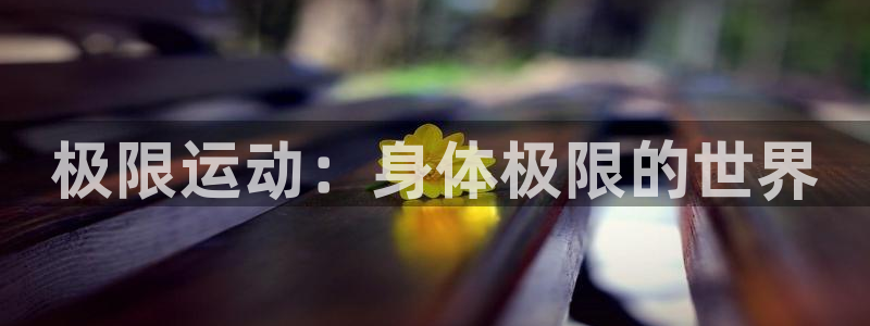 vsport体育官方正版app开户:极限运动:身体极限的世界