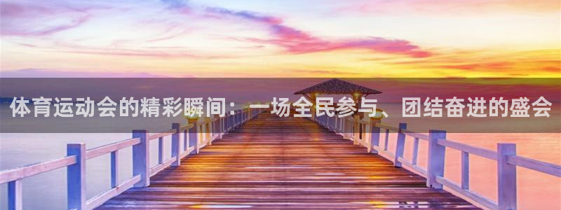 海南vsport体育官网下载发展怎么样:体育运动会的精彩瞬间