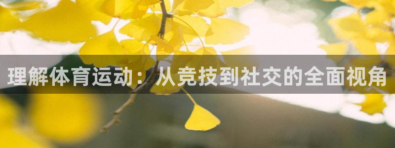 vsport体育官网下载招商电话号码查询是多少:理解体育运动